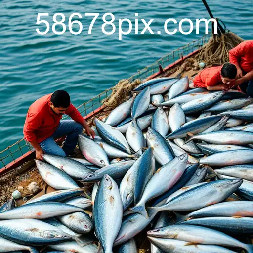 Gaming Experience 58678.COM - 800+ Premium and Exclusive Games